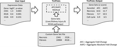 TOXPANEL: A Gene-Set Analysis Tool to Assess Liver and Kidney Injuries